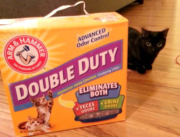 Our Arm & Hammer Double Duty Cat Litter Review